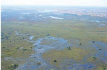 Okavango fan